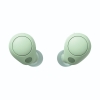 Picture of Sony True Wireless Earbuds WF-C700N Green