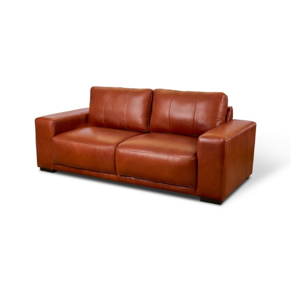 Picture of Nyahti 2 Seater Couch - Nyahti Tan