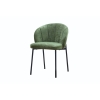 Picture of Princeton Dining Chair - Green